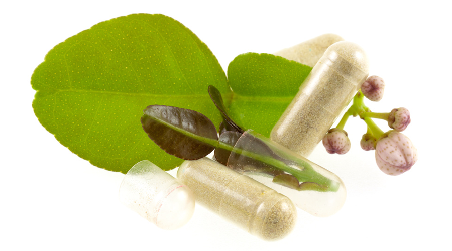 phytotherapie-le-mans-slider-pytho