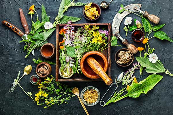 Herboristerie Le Mans